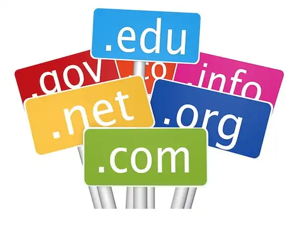 Select domain name